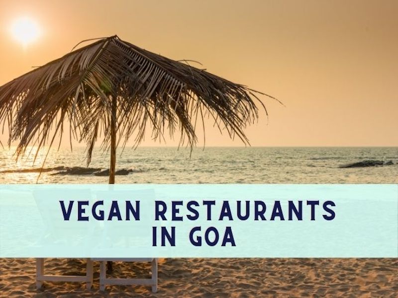 Top Five Vegan Restaurants In Goa – Plantmade